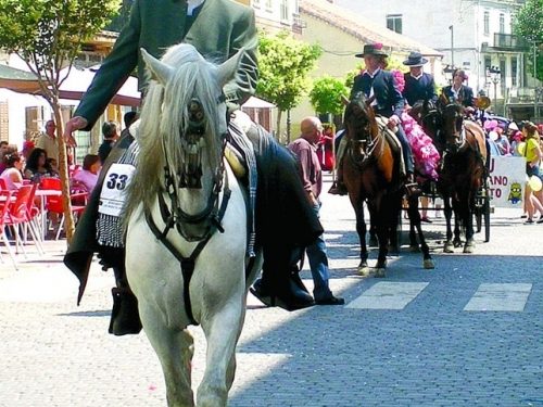 Romería al Valladal