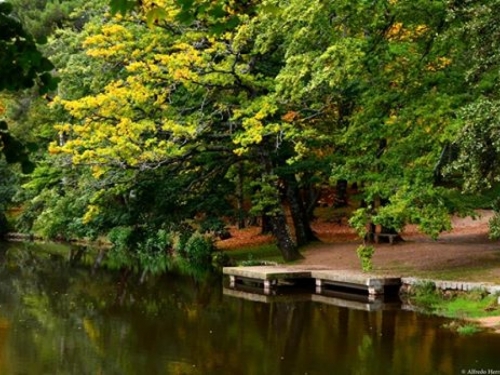 Otoño en Las Navas