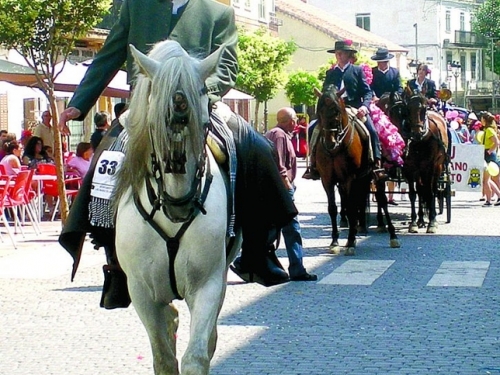 Romería del Valladar