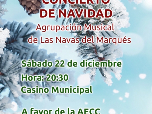 Concierto de Navidad