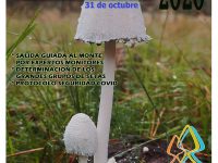 XVII JORNADA  DE MICOLOGIA APLICADA DE LAS NAVAS DEL MARQUÉS