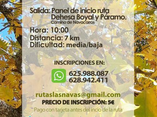 Ruta de Senderismo. Planazo de otoño