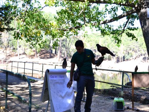 Jornada ornitológica - V Jornadas Medioambientales