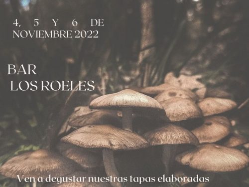 Jornadas de gastronomía micológica - Los Roéles