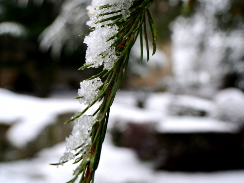 Nieve en Las Navas del Marqués