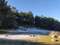 Ruta de Árboles Singulares