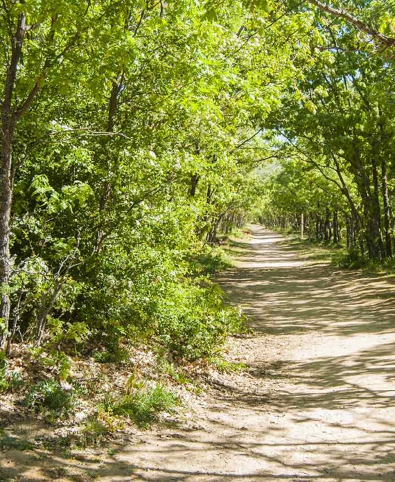 Paseos en familia en Las Navas del Marqués