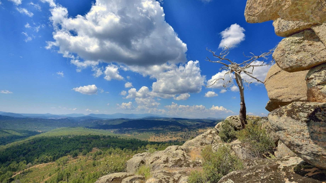 Naturaleza en Las Navas del Marqués
