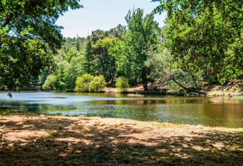 naturaleza-agua-de-vida-04-lago de ciudad ducal (2)