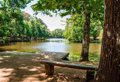 naturaleza-agua-de-vida-05-lago de ciudad ducal (3)