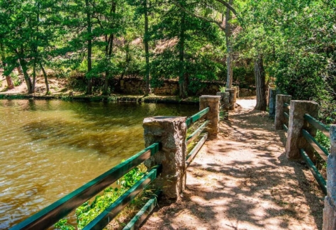 naturaleza-agua-de-vida-06-lago de ciudad ducal (4)