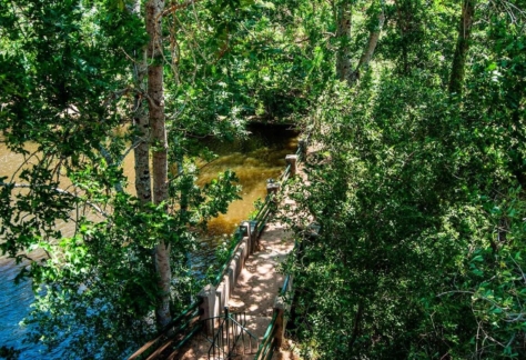 naturaleza-agua-de-vida-07-lago de ciudad ducal (5)