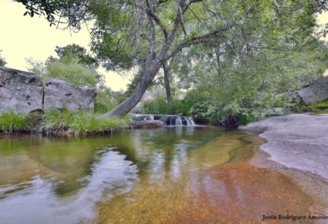 naturaleza-agua-de-vida-11-lago de ciudad ducal (9)