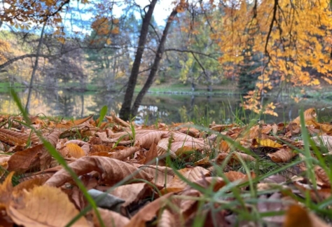 naturaleza-agua-de-vida-13-lago de ciudad ducal 2
