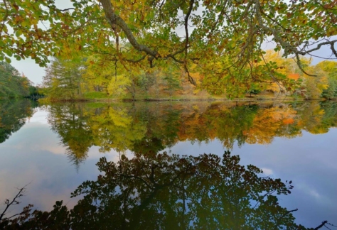 naturaleza-agua-de-vida-14-lago de ciudad ducal