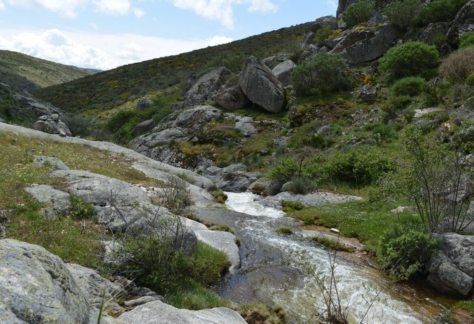 naturaleza-agua-fuente-de-vida-04-arroyo valtraviés (1)
