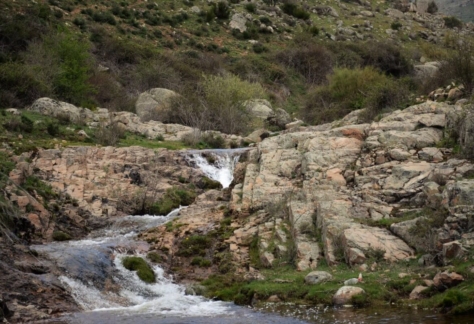 naturaleza-agua-fuente-de-vida-05-arroyo valtraviés (2)