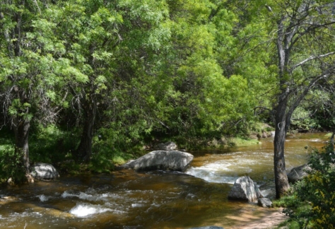 naturaleza-agua-fuente-de-vida-06-arroyo valtraviés (3)