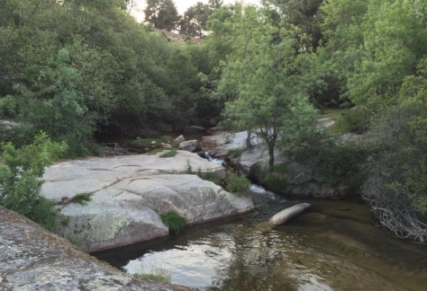 naturaleza-agua-fuente-de-vida-08-arroyo valtraviés