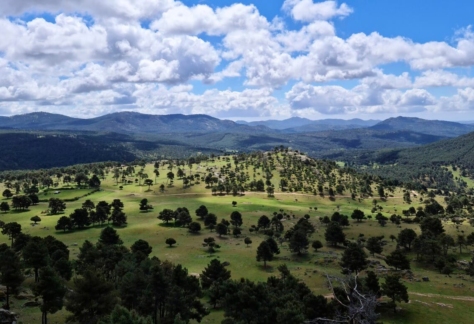 naturaleza-miradores-11-mirador de la corvera