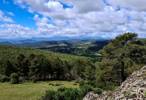 naturaleza-miradores-15-mirador de las tres fuentes