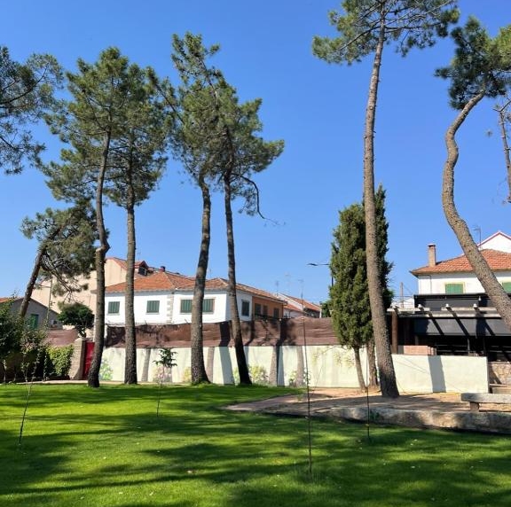 casajardinelcolmenar-32