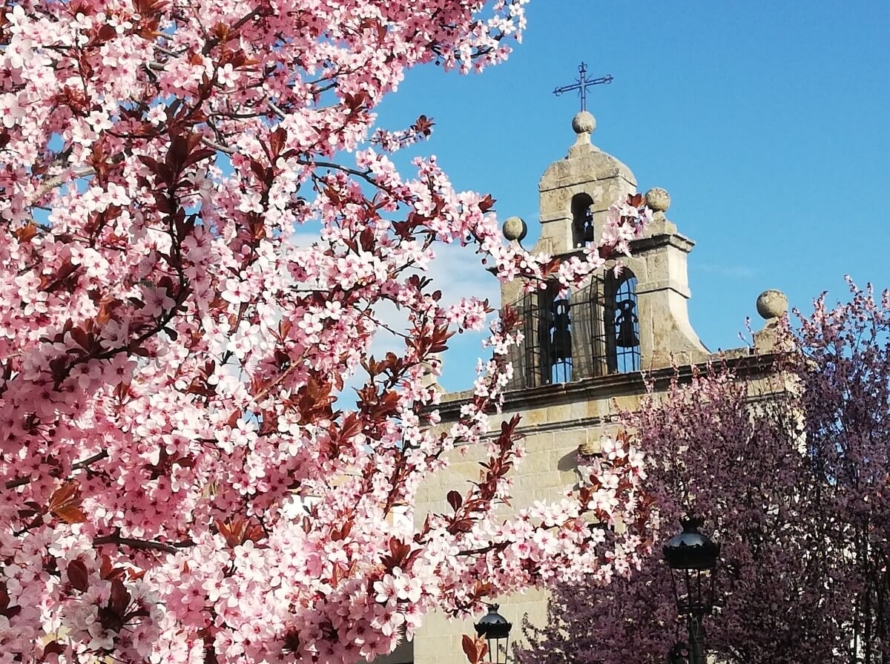 Ermita del Cristo de Gracia