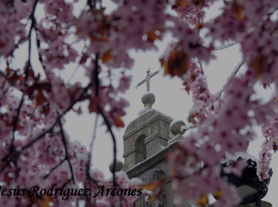 Ermita del Cristo de Gracia