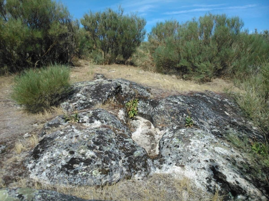 Necrópolis Altomedievales