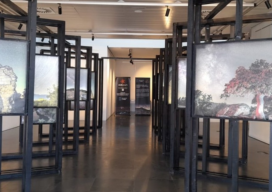 Exposiciones Las Navas del Marqués