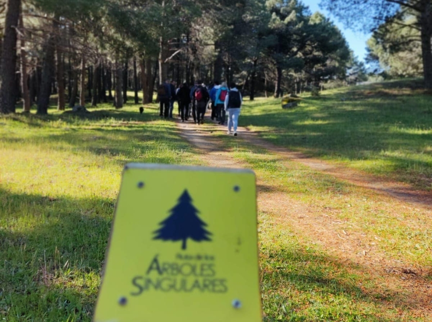 Jornadas Medioambientales