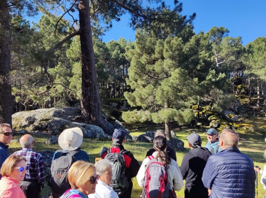 Jornadas Medioambientales