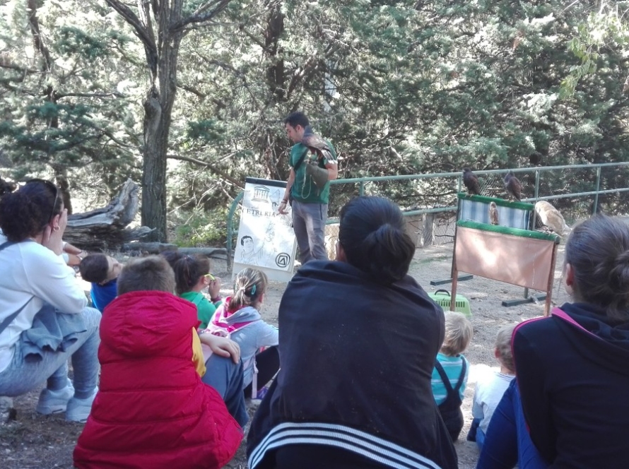 Jornadas Medioambientales