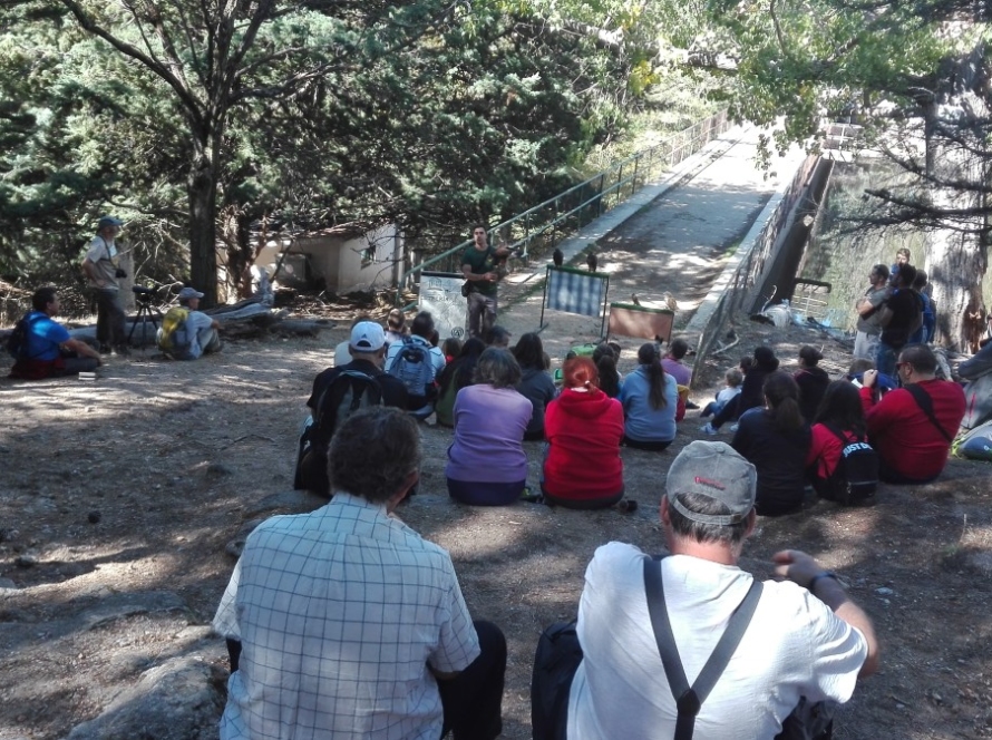 Jornadas Medioambientales
