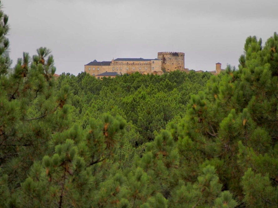 Castillo Palacio Magalia