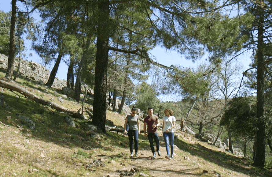 Paseo La Corvera