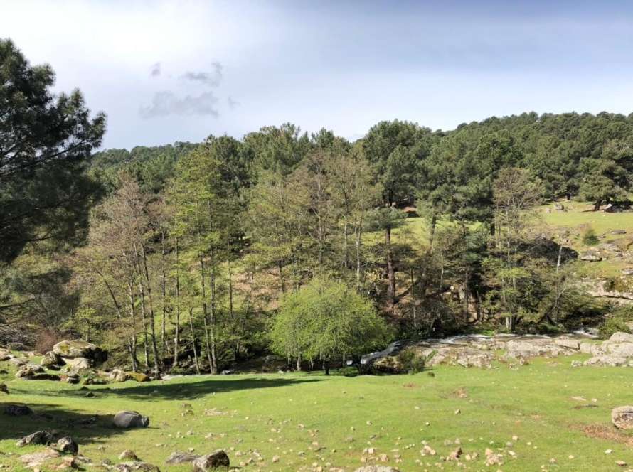 Paseo La Corvera