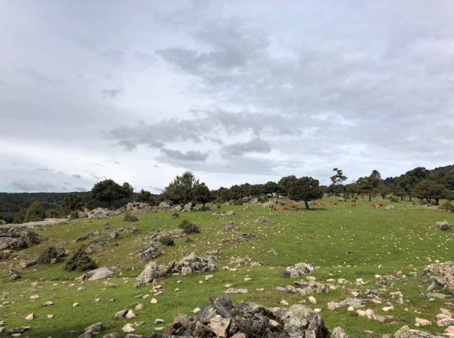 Paseo La Corvera