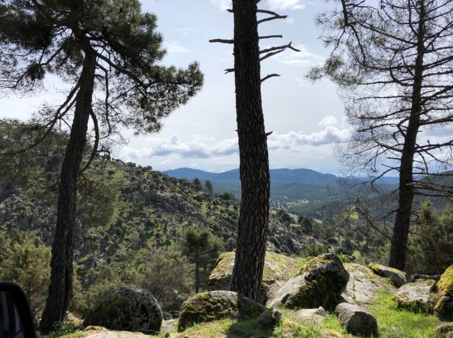 Paseo La Corvera