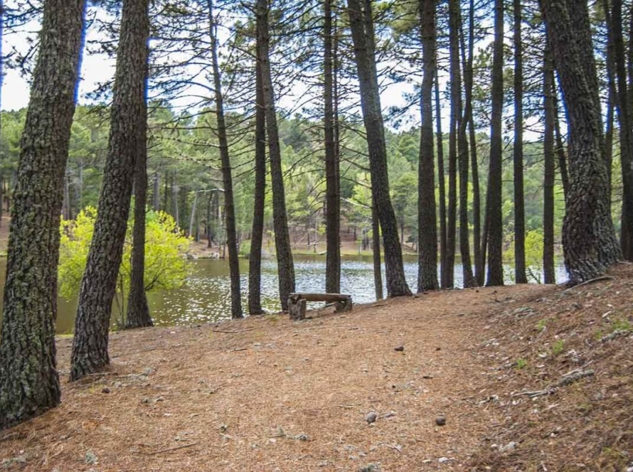 Paseo La Corvera