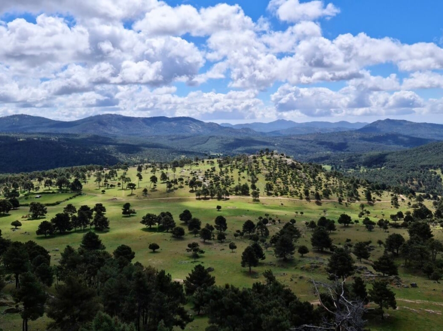 Paseo La Corvera