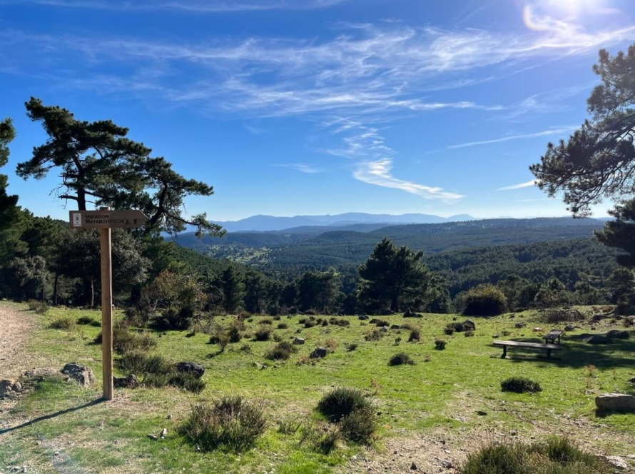 Paseo El Valladal