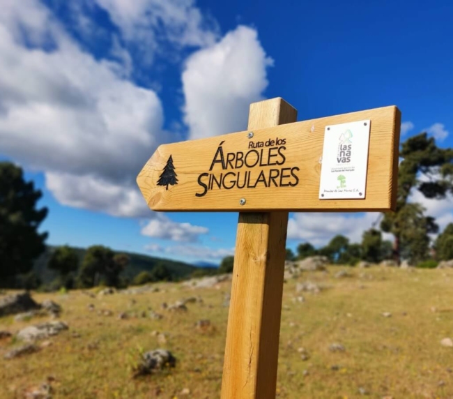 Ruta de Árboles Singulares