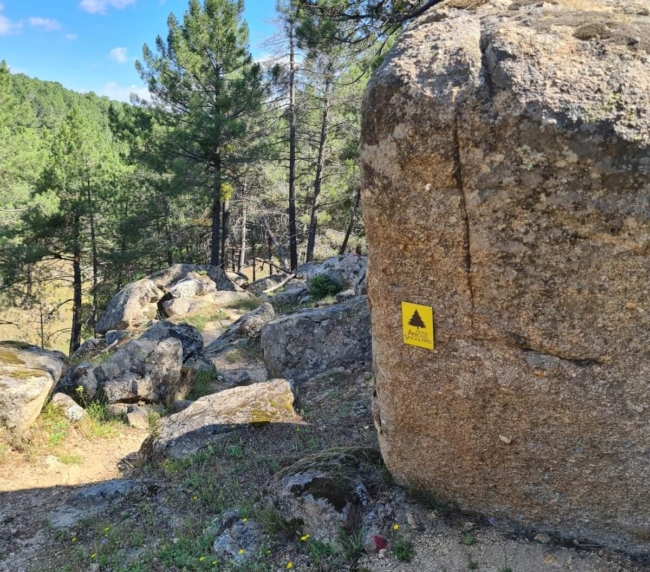 Ruta de Árboles Singulares