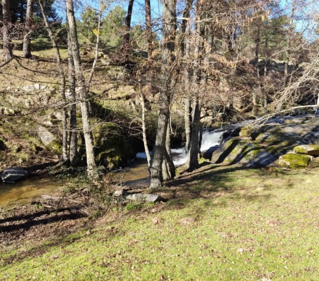 Ruta de Árboles Singulares