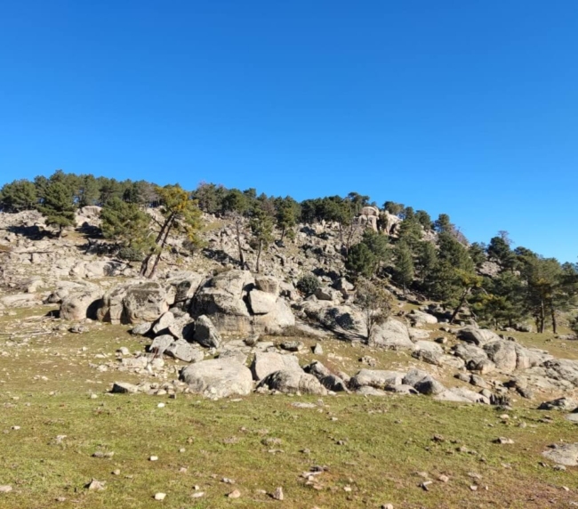 Ruta de Árboles Singulares