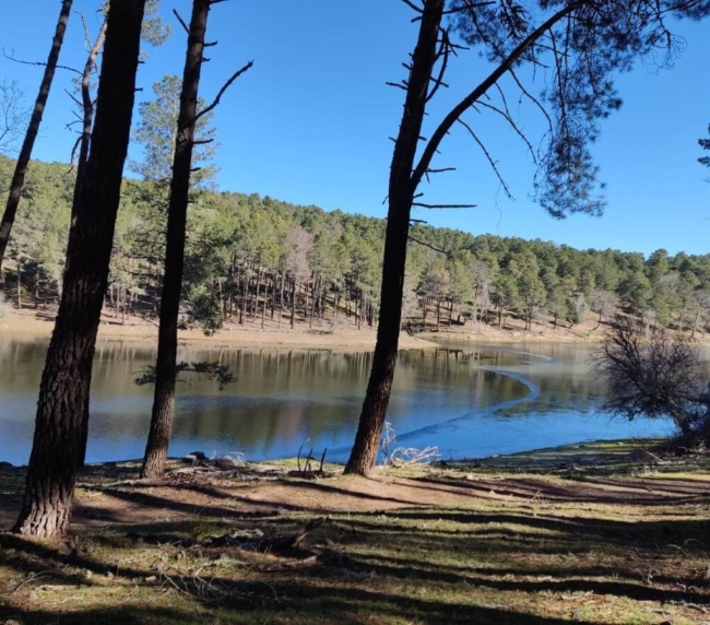 Ruta de Árboles Singulares