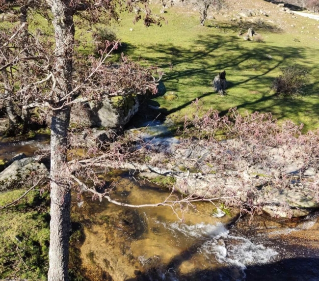Ruta de Árboles Singulares