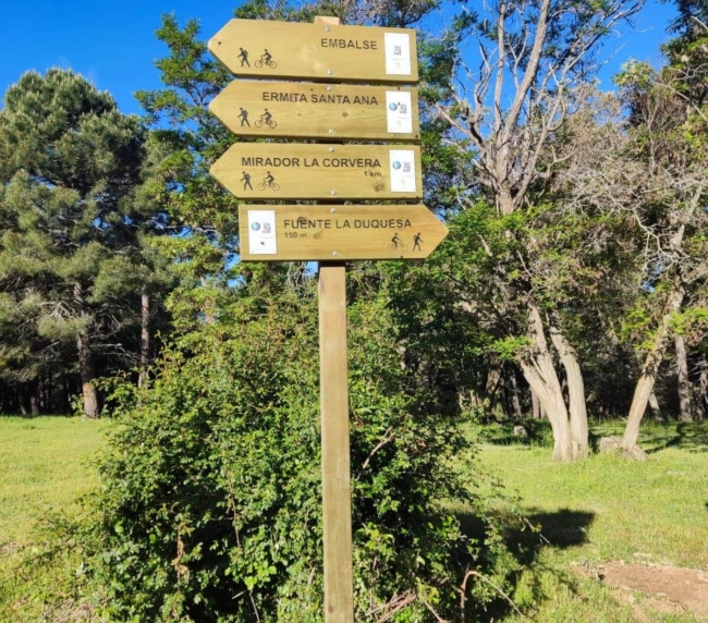 Ruta de Árboles Singulares