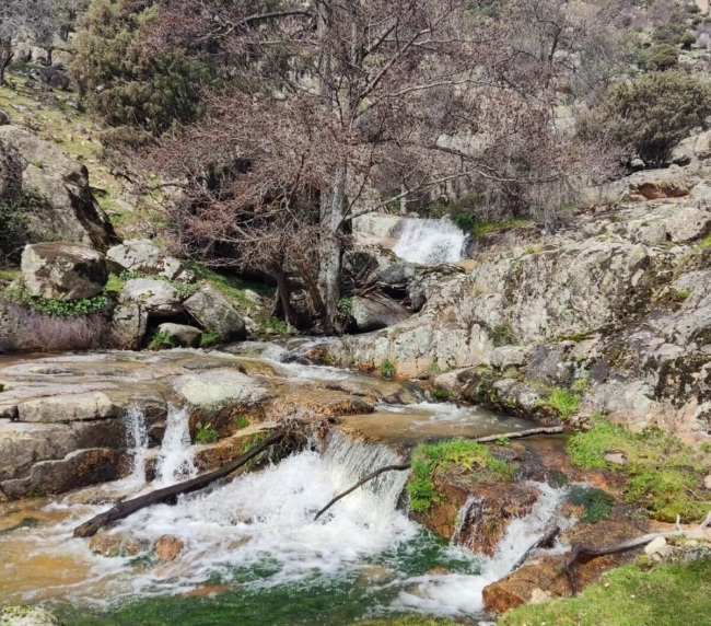 Ruta de Árboles Singulares